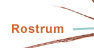 More about the Rostrum