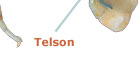 More about the Telson